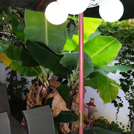 ゲストハウス Casa Amarela