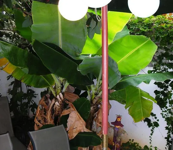 게스트하우스 Casa Amarela